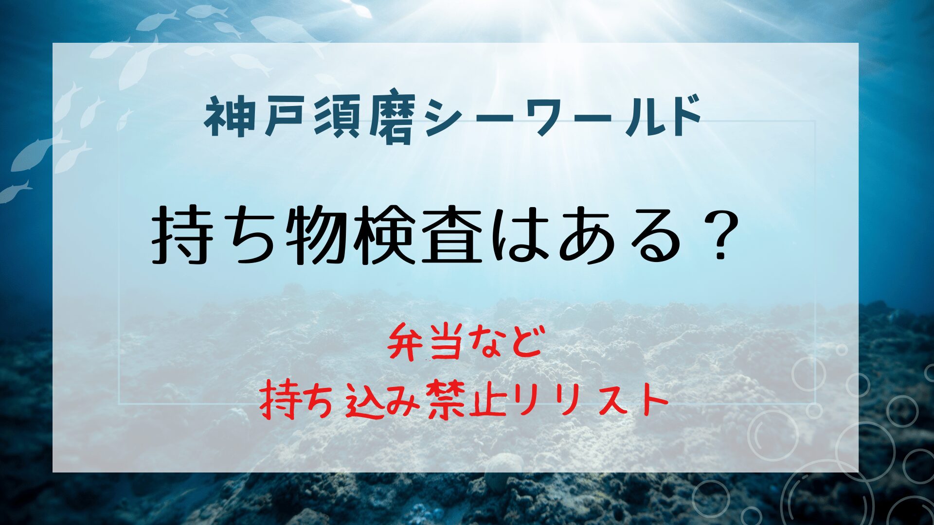 神戸須磨シーワールド持ち物検査はある？弁当など持込禁止品